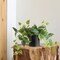 Faux Plants in Black Ceramic Pot, Artificial Plants for Home Decor Indoor, Ivy Small Fake Plants - Fake Plants Decor, Green Plants Artificial Décor, Artificial Plant for Indoor and Outdoor